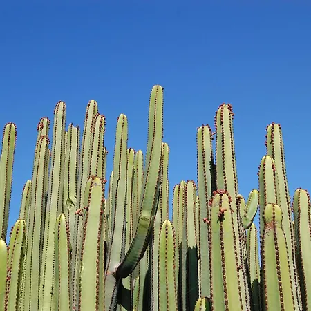 Villa Par 4 8 Salobre Gran Canaria